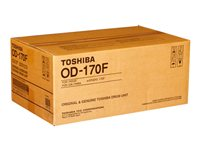 Toshiba OD-170F - original - valsenhet 6A000000311
