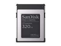 SanDisk PRO-CINEMA - flash-minneskort - 320 GB - CFexpress, typ B SDCFEC-320G-GN4NN