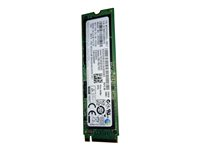 Samsung - SSD - 256 GB - PCIe - FRU 00JT037