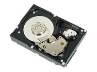 Dell - hårddisk - 300 GB - SAS RN447