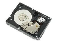 Hitachi - hårddisk - 300 GB - SAS 6Gb/s X150K