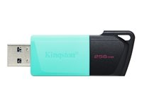 Kingston DataTraveler Exodia M - USB flash-enhet - 256 GB DTXM/256GB