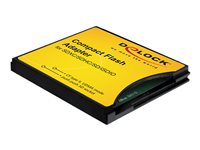 DeLOCK Compact Flash Adapter - kortadapter - CompactFlash 61796