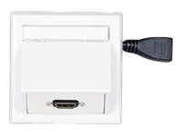 VivoLink Wall Connection Box - utmonterat utgångshölje WI221184-AMP