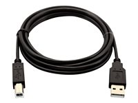 V7 - USB-kabel - USB till USB typ B - 2 m V7USB2AB-02M-1E