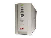 APC Back-UPS CS 325 - UPS - 210 Watt - 350 VA BK325I