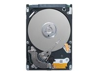 Dell Fully Assembled - hårddisk - 2 TB - SAS 12Gb/s 400-AMTT