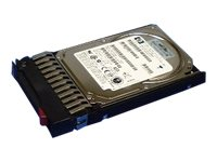 HPE - hårddisk - 36 GB - SAS 376596-001