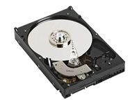 Dell - hårddisk - 500 GB - SATA 1.5Gb/s 8VNWV