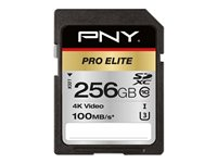 PNY PRO Elite - flash-minneskort - 256 GB - SDXC UHS-I P-SD256U3100PRO-GE
