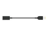 Lenovo USB-C to Slim-tip Cable Adapter - adapter för effektkontakt 4X90U45346