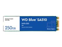 WD Blue SA510 WDS250G3B0B - SSD - 250 GB - SATA 6Gb/s WDS250G3B0B