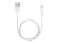 Apple Lightning-kabel - Lightning / USB - 50 cm ME291ZM/A
