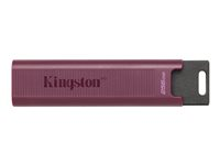 Kingston DataTraveler Max - USB flash-enhet - 512 GB DTMAXA/512GB