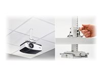 Chief Universal Suspended Ceiling Projector System - White monteringssats - för projektor - vit SYSAUW