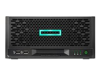 HPE ProLiant MicroServer Gen10 Plus v2 - ultramikrotorn Xeon E-2314 2.8 GHz - 0 GB - HDD 2 x 1 TB P70335-425