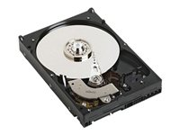 Dell - hårddisk - 300 GB - SAS RM683