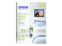 Epson Premium Glossy Photo Paper - fotopapper - blank - 1 rulle (rullar) - Rulle (32,9 cm x 10 m) C13S041379