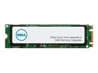 Dell - SSD - 256 GB - PCIe SNP112P/256G