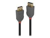 Lindy Anthra Line - DisplayPort-kabel - DisplayPort till DisplayPort - 2 m 36482