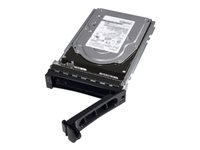 Dell Fully Assembled - hårddisk - 300 GB - SAS 6Gb/s 400-24964