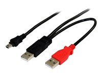 StarTech.com 6 ft USB Y Cable for External Hard Drive - USB A to mini B - USB cable - USB (M) to mini-USB Type B (M) - USB 2.0 - 6 ft - black - USB2HABMY6 - USB-kabel - USB till mini-USB typ B - 1.8 m USB2HABMY6
