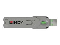 Lindy USB Type A Port Blocker Key - USB-portblockerare 40621