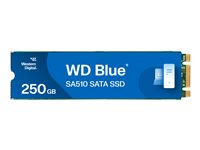 WD Blue SA510 WDS250G3B0B - SSD - 250 GB - SATA 6Gb/s WDS250G3B0B