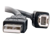 C2G 9.8ft USB A to USB B Cable - USB A to B Cable - USB 2.0 - Black - M/M - USB-kabel - USB till USB typ B - 3 m 28103