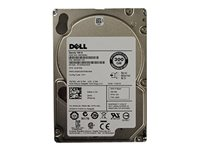 Dell Non Assembled - hårddisk - 300 GB - SAS 6Gb/s PGHJG