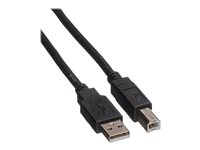 Roline - USB-kabel - USB till USB typ B - 3 m 11.02.8830