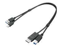 Lenovo Dual Head - skärm/USB-kabelsats - USB typ A, DisplayPort till USB Type B, Mini DisplayPort - 43 cm 4X91D11453