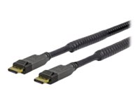 VivoLink Pro DisplayPort-kabel - 10 m PRODPAM10