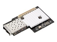 ASUS MCI-10G/82599-2S - nätverksadapter - PCIe 2.0 x8 - 10 Gigabit SFP+ x 2 90SC08J0-M0UAY0