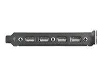 StarTech.com 4 Port USB A Female Slot Plate Adapter - USB panel - 4 pin USB Type A (F) (USBPLATE4) - USB-panel - USB till 9 stifts IDC USBPLATE4