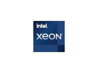 Intel Xeon E-2324G / 3.1 GHz processor - Box BX80708E2324G