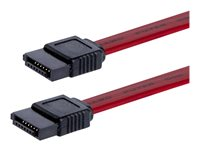 StarTech.com 12in SATA Serial ATA Cable - SATA cable - Serial ATA 150/300 - SATA (F) to SATA (F) - 1 ft - red - SATA12 - SATA-kabel - 30.5 cm SATA12