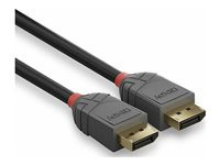 Lindy Anthra Line - DisplayPort-kabel - DisplayPort till DisplayPort - 50 cm 36480
