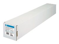 HP Everyday Adhesive Matte Polypropylene - film - matt - 1 rulle (rullar) - Rulle (91,4 cm x 22,9 m) - 168 g/m² (paket om 2) C0F19A