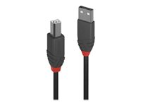 Lindy Anthra Line - USB-kabel - USB till USB typ B - 2 m 36673